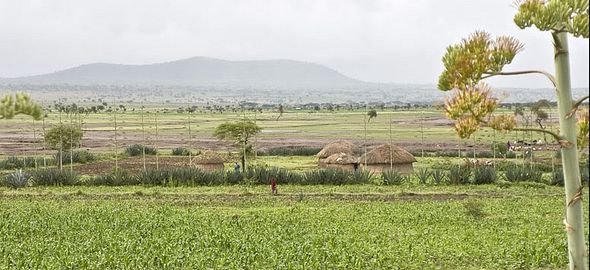maasai-village-arusha